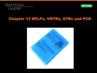 Chapter 13 RFLPs, VNTRs, STRs and PCR