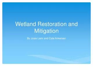 Wetland Restoration and Mitigation