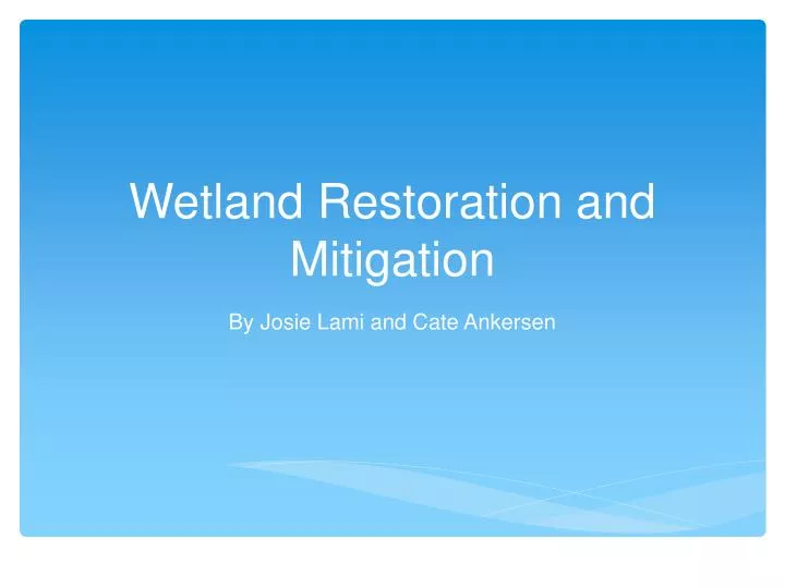 wetland restoration and mitigation