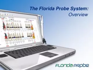 What is the Florida Probe System?