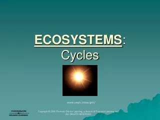 ECOSYSTEMS : Cycles
