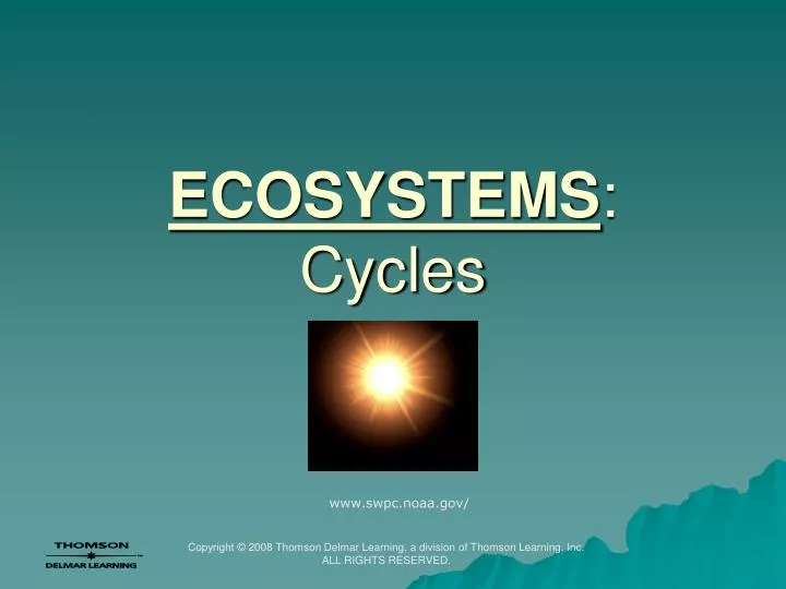 ecosystems cycles