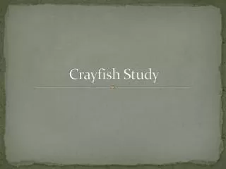 Crayfish Study