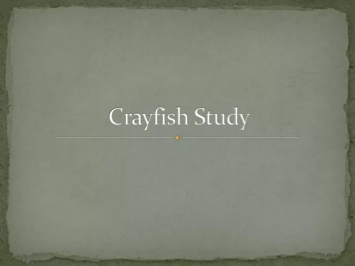 crayfish study