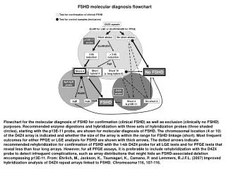 MolecularDiagnosis FigForGeneticCounselors