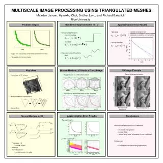 MULTISCALE IMAGE PROCESSING USING TRIANGULATED MESHES