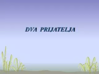 DVA PRIJATELJA