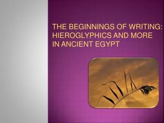 THE BEGINNINGS OF WRITING: HIEROGLYPHICS AND MORE IN ANCIENT EGYPT
