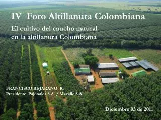 IV Foro Altillanura Colombiana