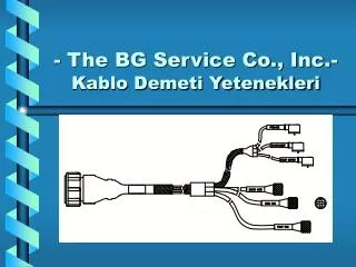 - The BG Service Co., Inc.- Kablo Demeti Yetenekleri