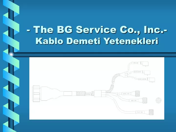 the bg service co inc kablo demeti yetenekleri