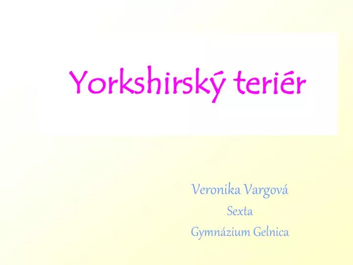 yorkshirsk teri r