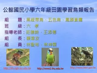 公館國民小學六年級田園學習鳥類報告