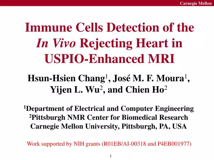 immune cells detection of the in vivo rejecting heart in uspio enhanced mri