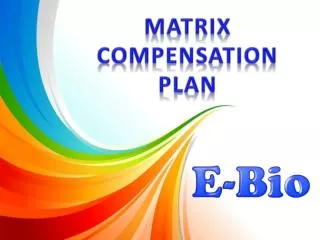 MATRIX COMPENSATION PLAN