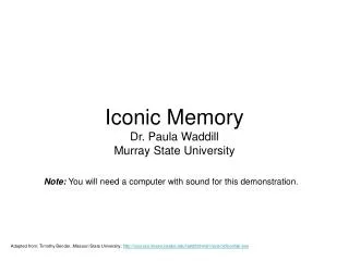 Iconic Memory Dr. Paula Waddill Murray State University