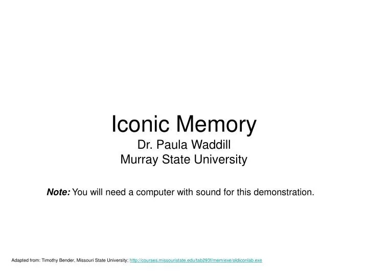 iconic memory dr paula waddill murray state university
