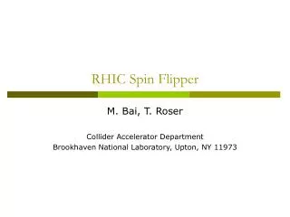 RHIC Spin Flipper