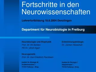 Neurobiologie und Biophysik Prof. Dr. Ad Aertsen PD Dr. Ulrich Egert Neurogenetik