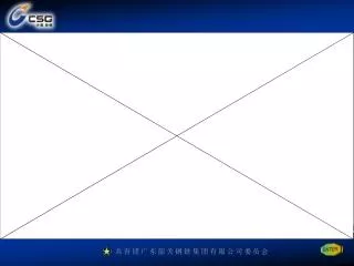 共 青 团 广 东 韶 关 钢 铁 集 团 有 限 公 司 委 员 会