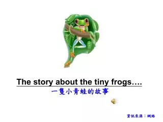 The story about the tiny frogs…. 一隻小青蛙的故事