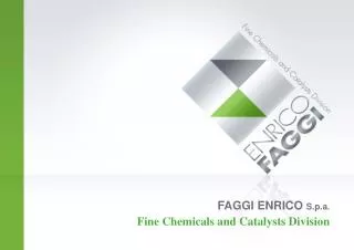 FAGGI ENRICO S.p.a. Fine Chemicals and Catalysts Division