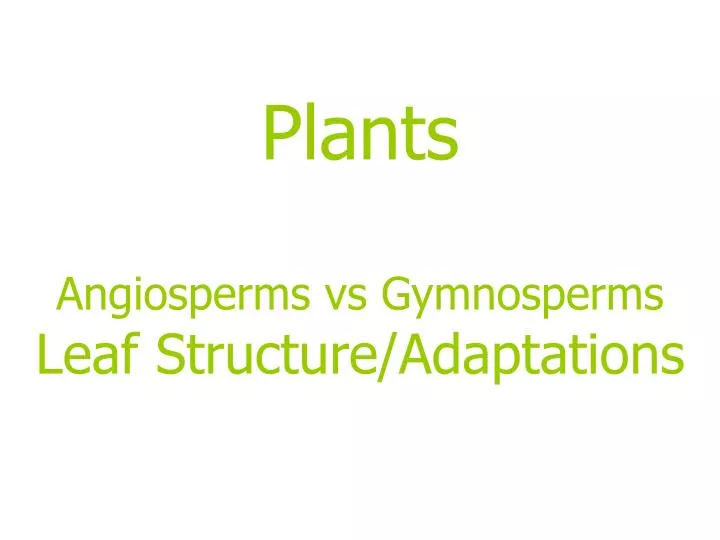 plants angiosperms vs gymnosperms leaf structure adaptations