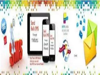 Bulk SMS Services Solution Provider