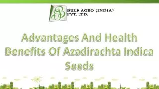 Advantages And Health Benefits Of Azadirachta Indica Seeds