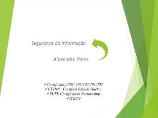 seguran a da informa o