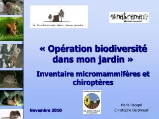 « Opération biodiversité dans mon jardin » Inventaire micromammifères et chiroptères
