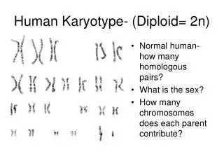 Human Karyotype- (Diploid= 2n)