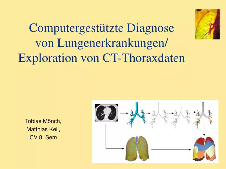 computergest tzte diagnose von lungenerkrankungen exploration von ct thoraxdaten