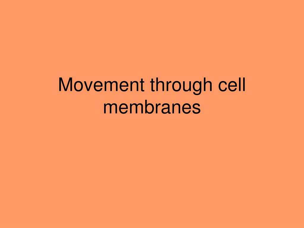 PPT - Movement through cell membranes PowerPoint Presentation, free ...