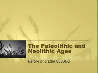 The Paleolithic and Neolithic Ages