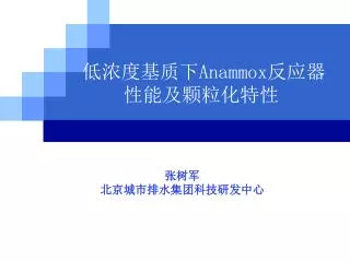 低浓度基质下 Anammox 反应器 性能及颗粒化特性