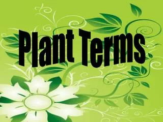 Plant Terms