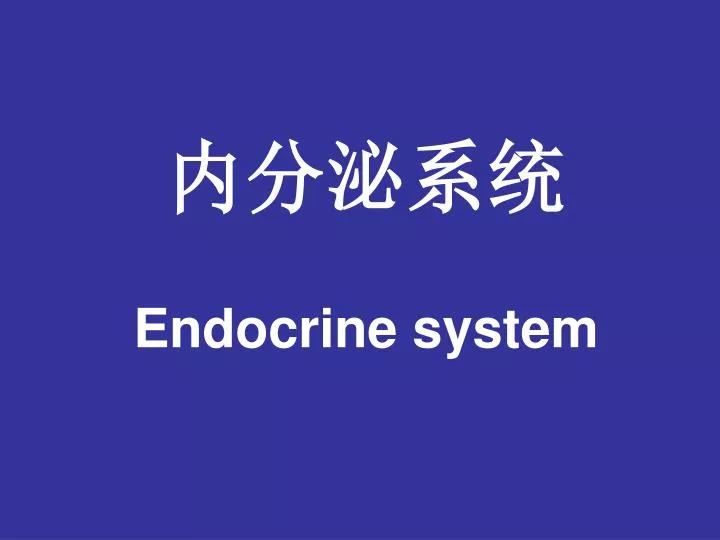 endocrine system