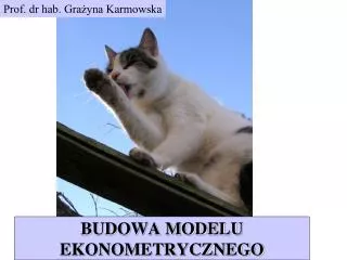 budowa modelu ekonometrycznego
