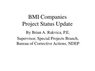 BMI Companies Project Status Update