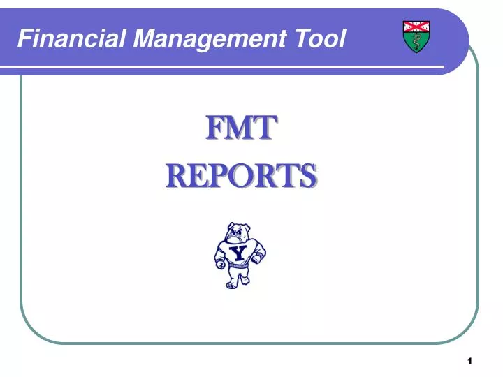 financial management tool