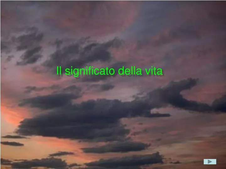 il significato della vita