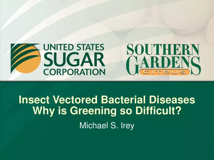insect vectored bacterial diseases why is greening so difficult