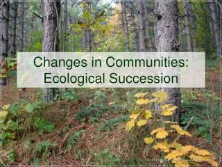 Changes in Communities: Ecological Succession