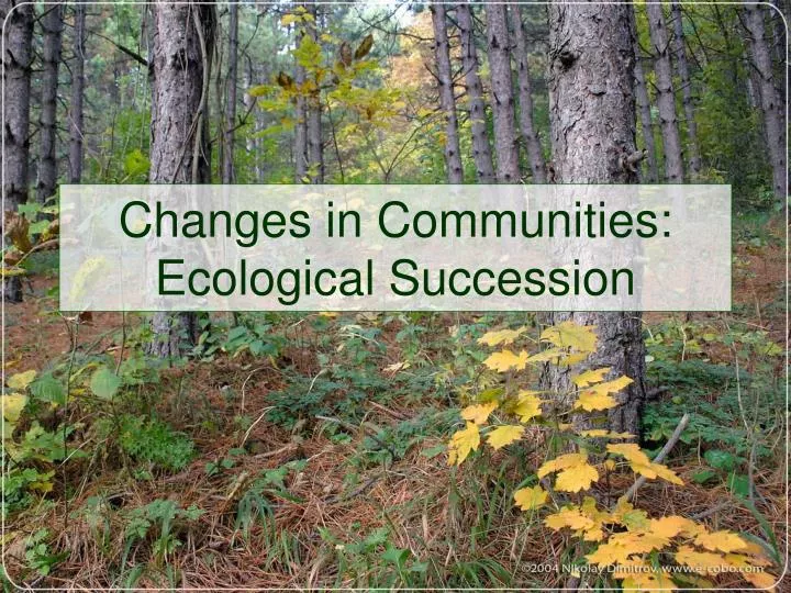 changes in communities ecological succession