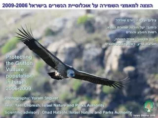 הצצה למאמצי השמירה על אוכלוסיית הנשרים בישראל 2009-2006