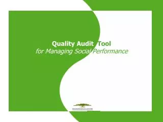 Quality Audit Tool for Managing Social Performance