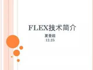 FLEX 技术简介