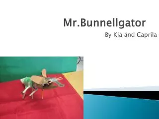 Mr.Bunnellgator