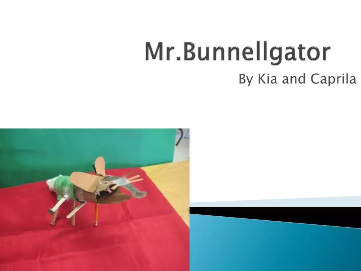 mr bunnellgator
